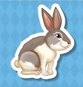 87年的火兔五行缺什么(探寻命理学中的秘密)