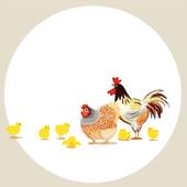 属鸡和什么生肖最配婚姻(完美配对的秘诀揭秘)