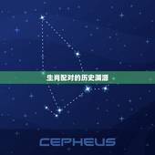 92猴和99兔相配吗(介绍生肖配对真的有用吗)