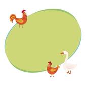 四十岁属鸡的人今年命运(如何转运)