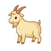 白羊座每天每日查询星座乐(掌握星座运势开启幸福人生)