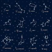 狗和牛相配婚姻如何 属狗与牛相配？