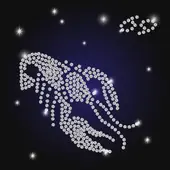 星座每日运势详解：2025年2月6日精准指南