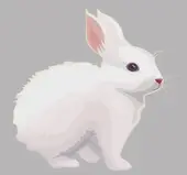 属兔今日财运方位：打麻将3招赢钱技巧