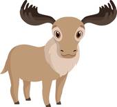 1979属羊男最佳婚配(完美匹配哪些星座最适合)