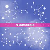 87兔和95猪合不合(生肖配对大介绍)