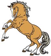 女属马的最佳婚配有哪些(寻找马年女性的完美伴侣)