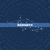 属鼠男的跟什么属相配(配对指南)