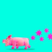 1983年的猪财运怎么样(回顾过去展望未来)