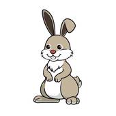 属兔草字头的名字有哪些(探寻兔年宝宝的好名字)