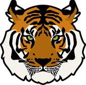 属虎的哪个月出生最好命(揭秘命运最佳月份)