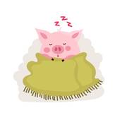 93年属猪的最佳婚配表(如何选择最佳伴侣)