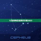 12生肖每日运势天天看2023(掌握运势把握未来)