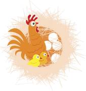 93鸡94狗婚配为大忌(为什么这样的组合会被视为不吉利)