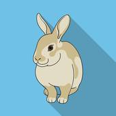 兔子今年的运势2023(好运连连财源滚滚)