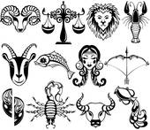 属兔女和什么属相最配 属兔的女人