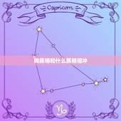 狗属相和什么相冲相克(如何化解)