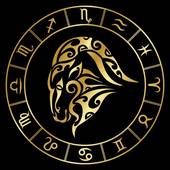 摩羯女今天财运运势查询(财富运势如何)