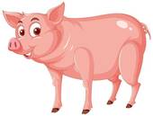 两个95属猪的结婚好吗(探讨猪年属相婚姻匹配度如何)