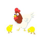 1981年属鸡人的性格(探秘机智灵活自信)