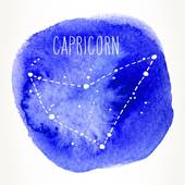 摩羯座和什么座最配闺蜜(星座大揭秘最佳闺蜜组合)