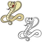 属蛇的6合贵人和三合局(如何为你带来好运)