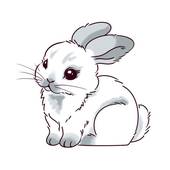 女马和男兔合不合适婚姻(星座专家分析两人性格差异大需谨慎选择)