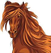 90年属马劫在什么时候(马年出生的你何时迎来劫数)