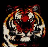 生肖虎一辈子的靠山是谁(揭秘生肖虎最强助力)