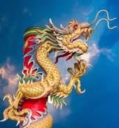 属龙年龄表2023虚岁(龙年出生的你2023年几岁了)