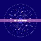 属牛的是土命还是水命(如何辨别)