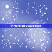 双子座2023年全年运势查询表(详解财运旺盛感情稳定事业上升势头)