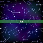 七月属蛇的人命运如何(探寻蛇年出生者的未来之路)