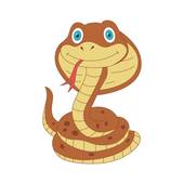 属蛇女网名健康幸福如意(如何身心健康)