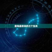 属兔最忌讳的三个生肖(介绍属兔人最忌讳的生肖)