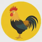 属鸡的和什么属相最配最合适呢属：属鸡的和属鸡相最配吗？