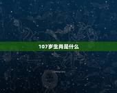 虚岁107属什么生肖(解密107岁生肖看看你是否属于这个幸运的生肖)