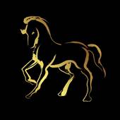 属马是哪年出生的人命运(马年人的命运如何)