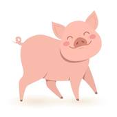 七一年的猪今年财运如何(财运旺盛财源滚滚来)