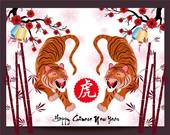 1986年属虎2023(虎年重逢命运如何)