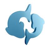 双鱼座的女孩特点和性格(探秘神秘、浪漫的双鱼女)