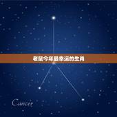 今年的十二生肖排行榜(谁是最幸运的生肖)