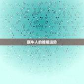 今年属牛结婚的好日子(2023年黄历推荐幸福从选日开始)