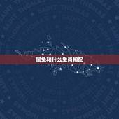 属兔和什么生肖相配(解读属兔人的婚姻情况)
