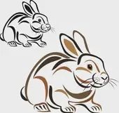 属兔人2025年财运转机指南：三大渠道稳中求胜