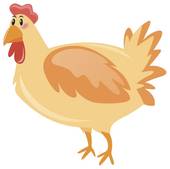 55属鸡的今年财运如何(解析2023年属鸡人财运大揭秘)