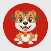 70年属狗一生三大劫难免费，属狗一生的命运