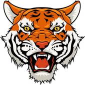 属虎的女人取名字最旺财(如何给女儿取名才能旺财)