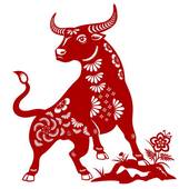 94年属狗和98年属牛(狗牛相遇缘起于命运终成美好)