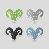 白羊座女生性格深度解析：火象星座女孩生存指南